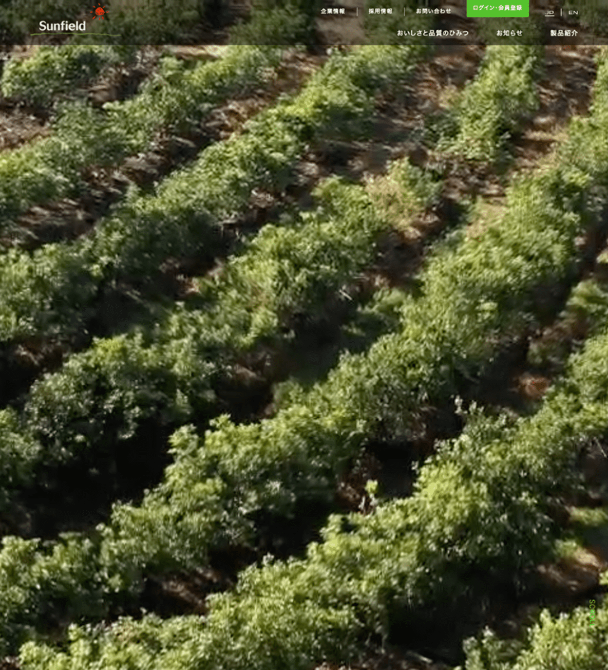 三田飲料株式会社